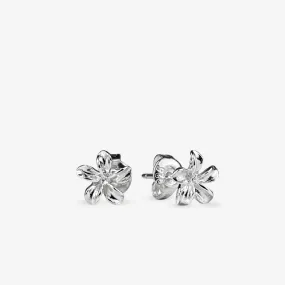 Frangipani Flower Stud Earrings