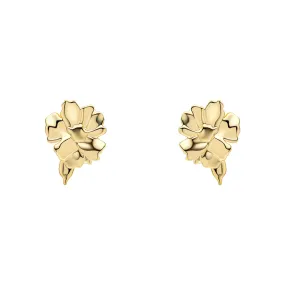 Laura Ashley Gold Plated Albertine Rose Earrings E6513