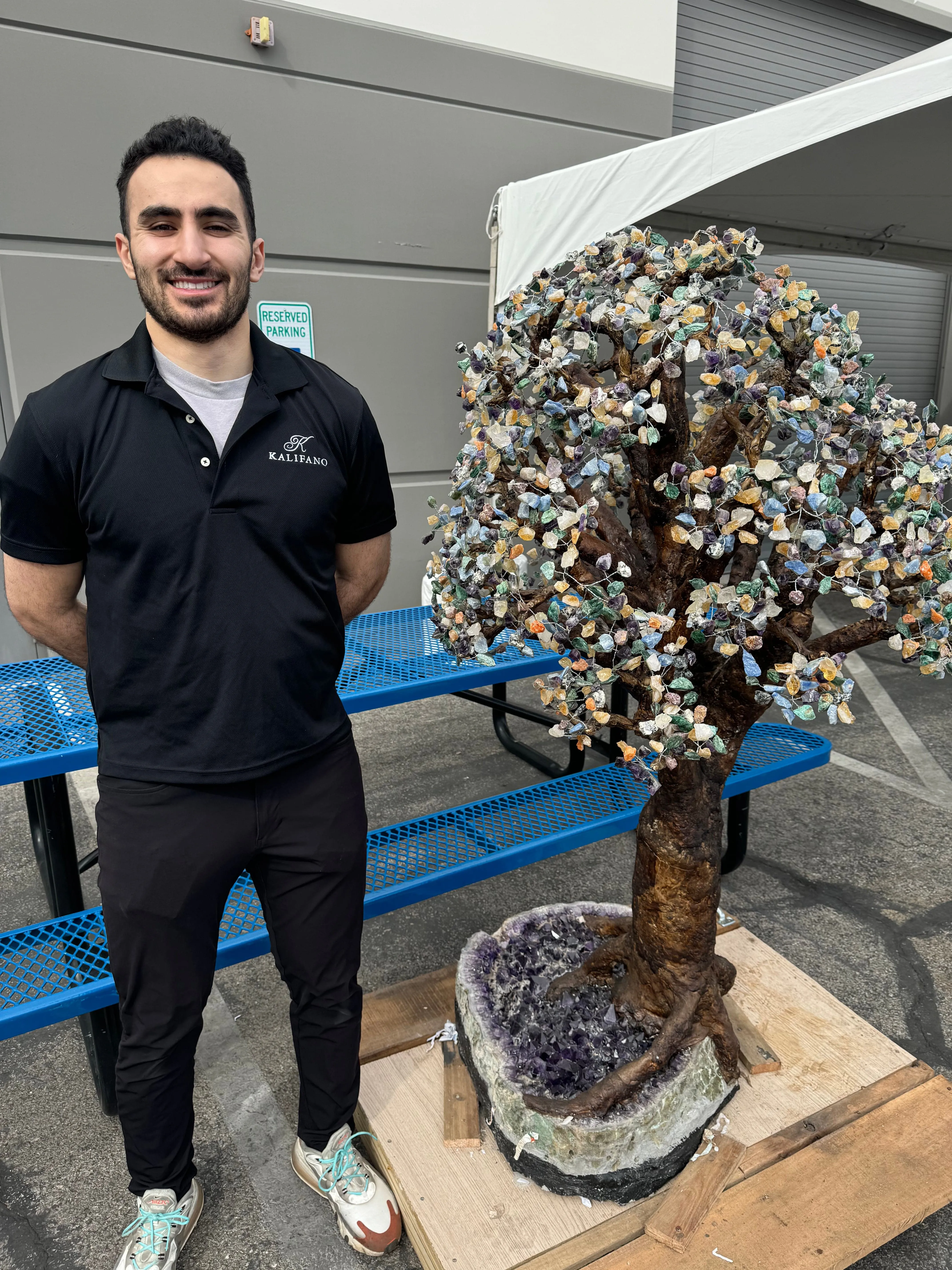 Multi Gemstone Amethyst Geode Tree from Brazil - 65"