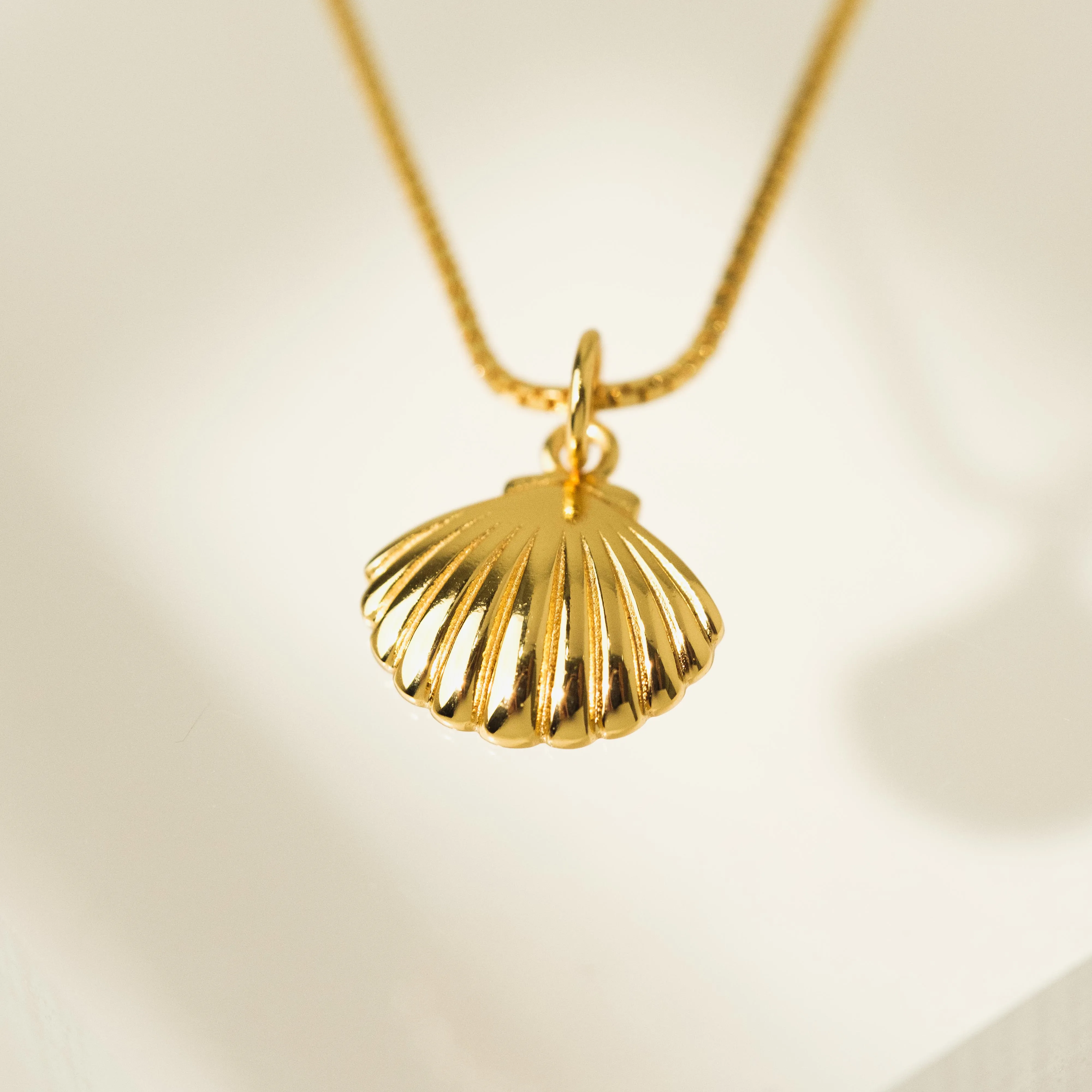 Shell Charm Necklace
