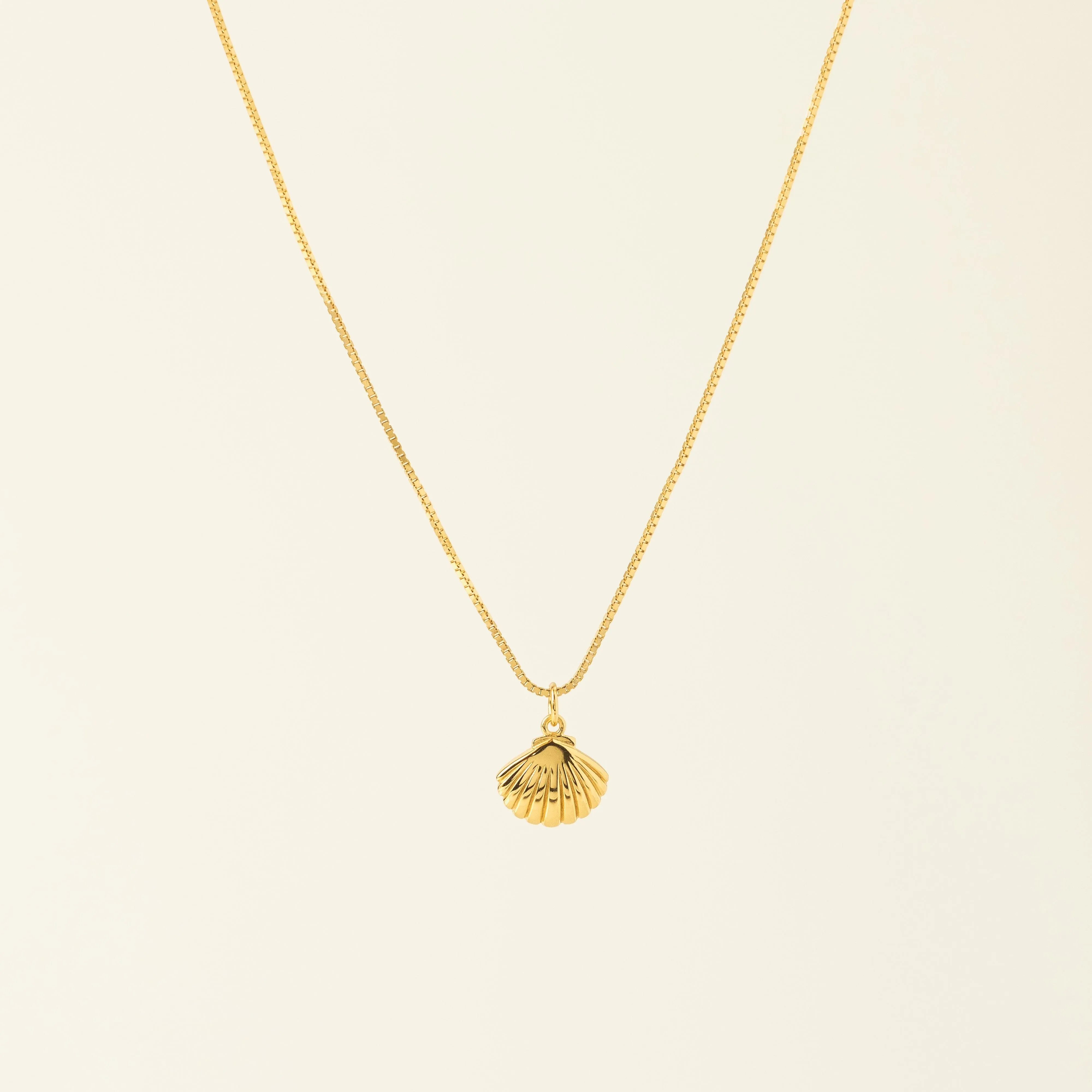 Shell Charm Necklace