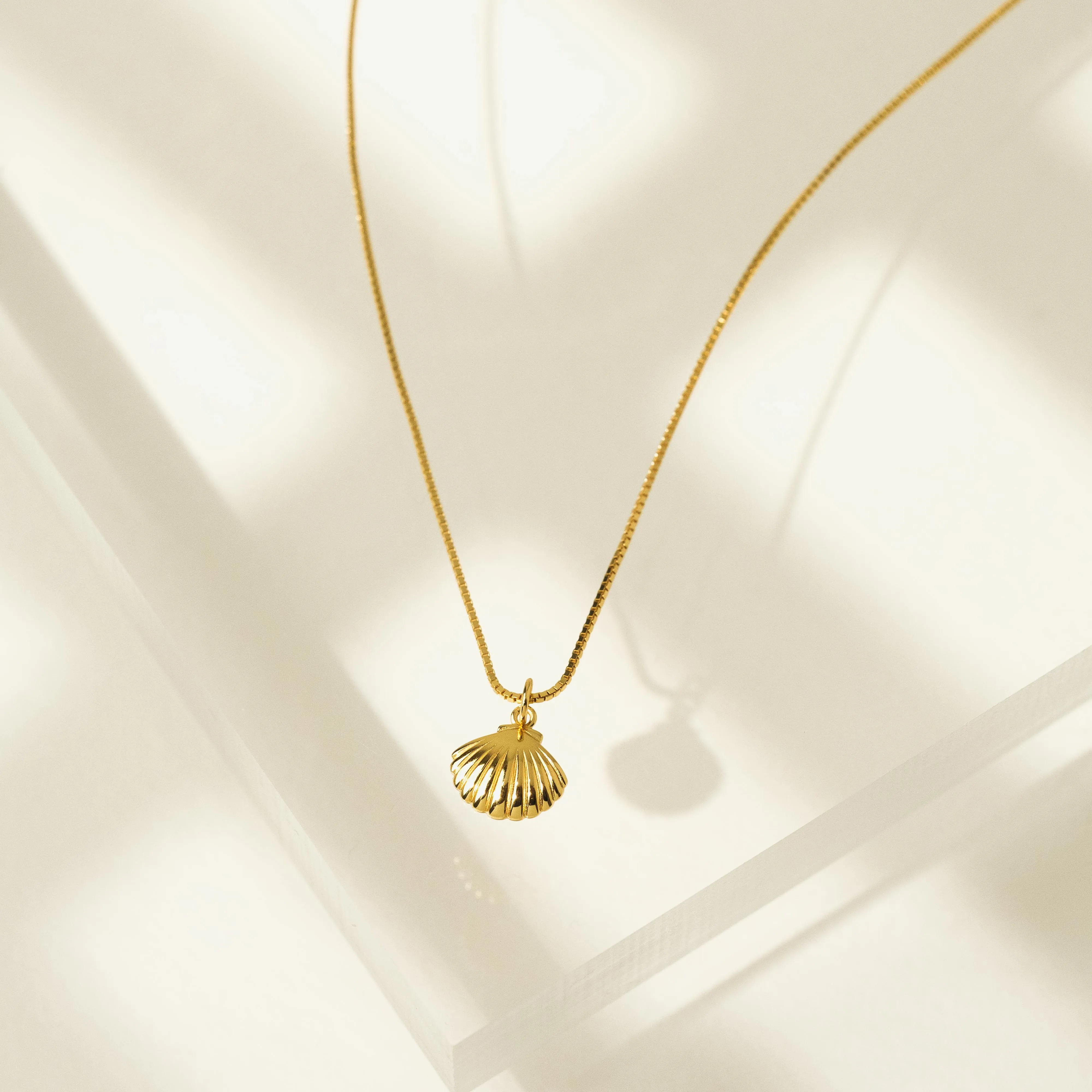 Shell Charm Necklace