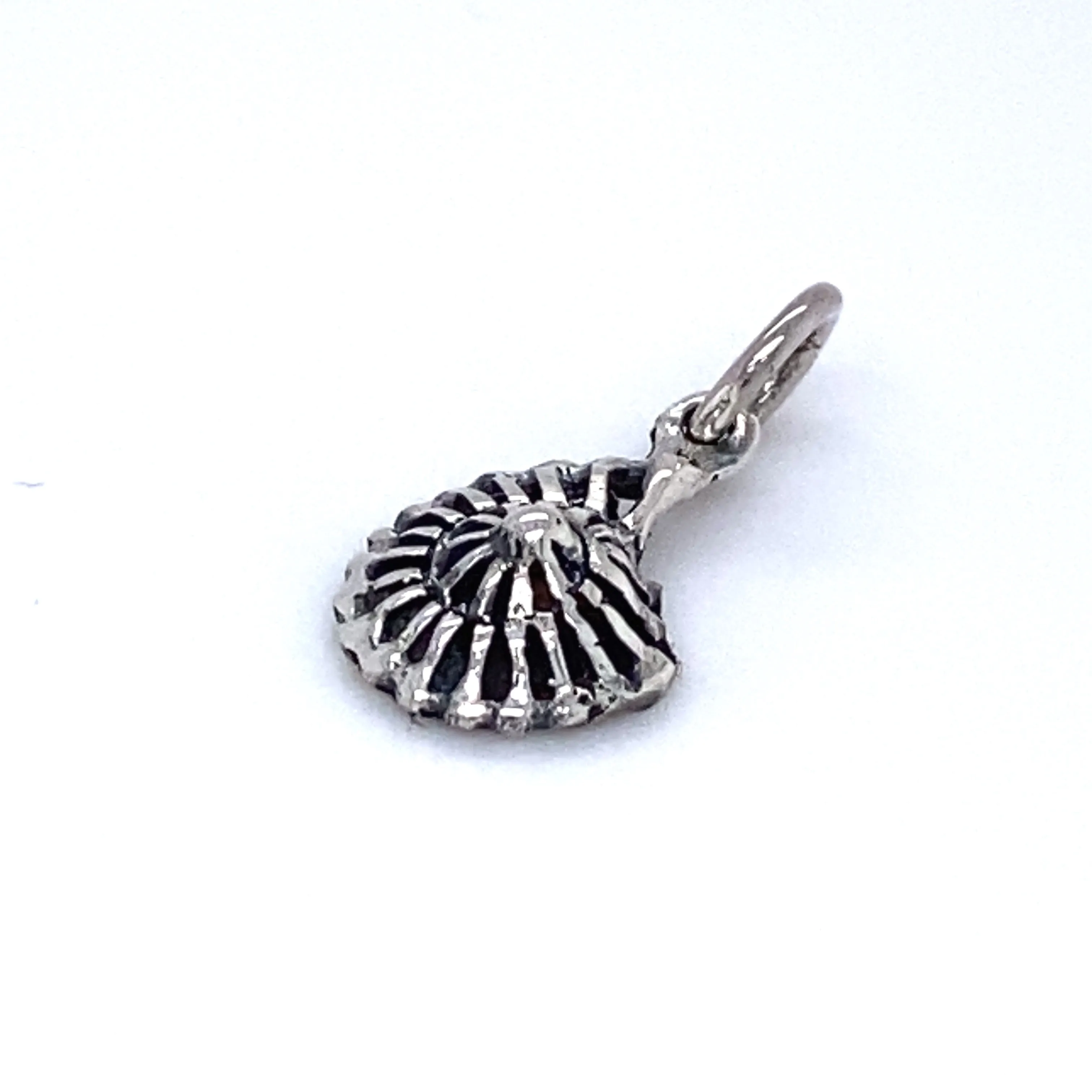 Small Nautilus Pendant