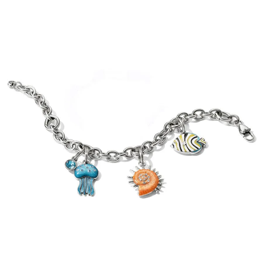Sunburst Shell Charm