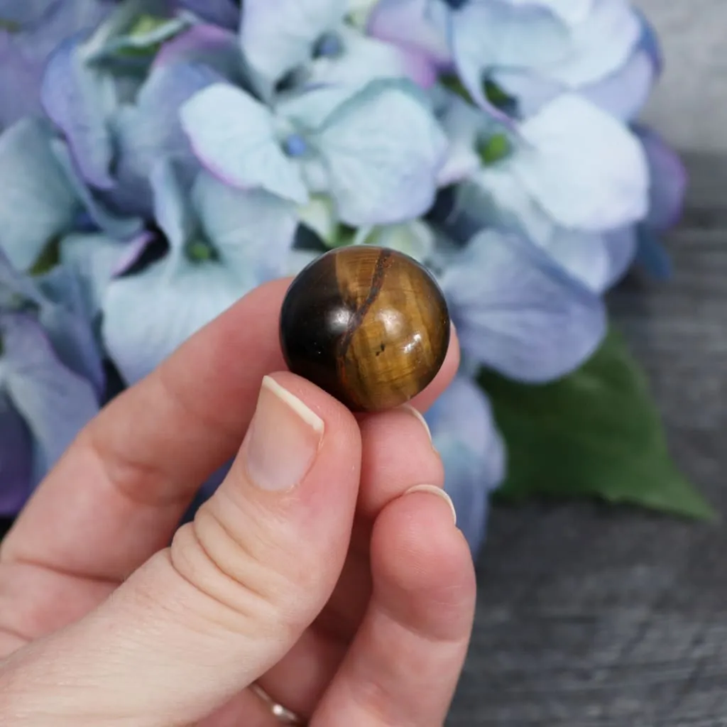 Tiger's Eye Mini Sphere