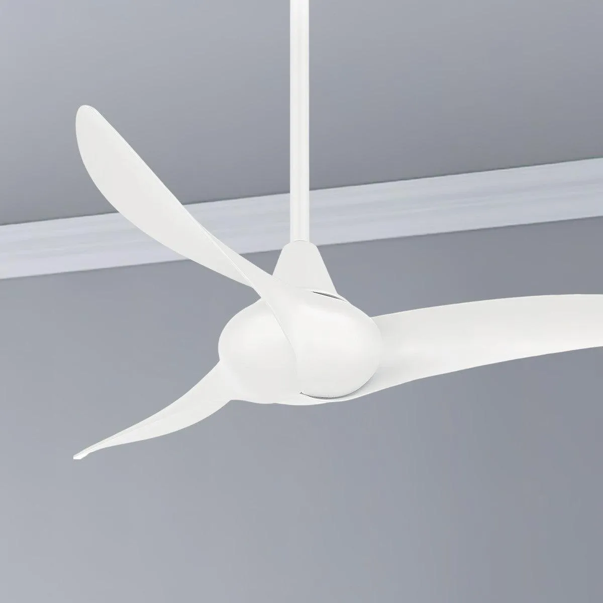 Wave 44" Ceiling Fan